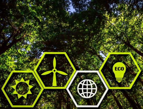 Climate Change: Did you know that our growing methods reduce Greenhouse gas (GHG) emissions while fostering healthy ecosystems?​