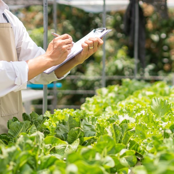 agri-knowledge Cornupedia