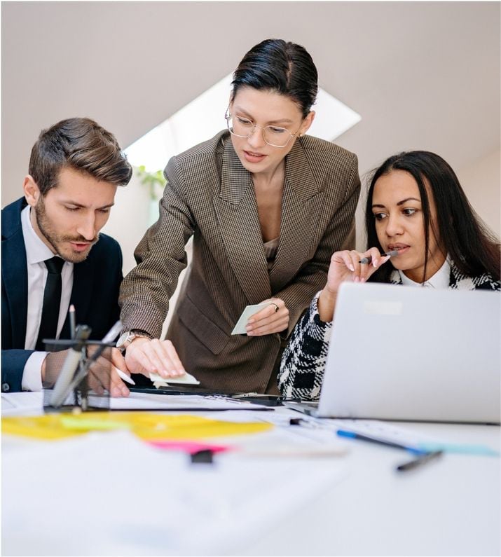 feasability study Cornucopia