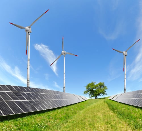 Sustainability Sustainability & Circularity Cornucopia Spain Environment Impact