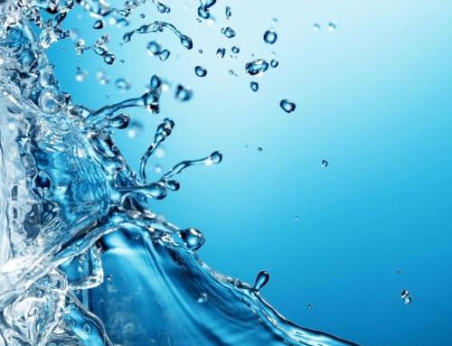 Water Did you know that we save more than 90% of water when producing our vegetables?​